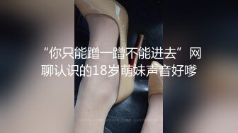 后入极品肥臀骚母狗