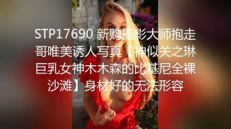 STP17690 新购摄影大师抱走哥唯美诱人写真【神似关之琳巨乳女神木木森的比基尼全裸沙滩】身材好的无法形容