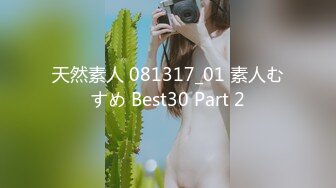 天然素人 081317_01 素人むすめ Best30 Part 2