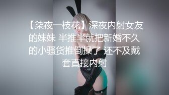 后入肥臀少妇，叫声可射.