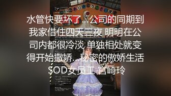 爆乳大学美女被揪头发边打屁股边操,大叫爽,我是贱货