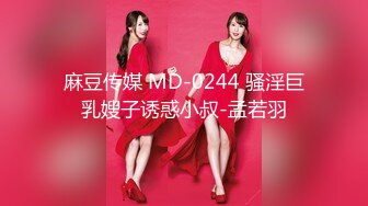 麻豆传媒 MD-0244 骚淫巨乳嫂子诱惑小叔-孟若羽