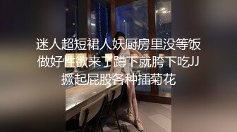 大二艺术生（某网剧二线小演员）约啪 超级漂亮4