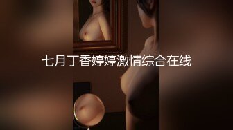 网调骚狗m