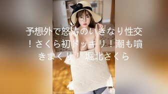 HD-SDの混血美乳女神李蒽熙酒店穿高跟絲襪肛塞調教啪啪／豪乳美腿嫩模晨晨花店門口揉捏私處淫語浪叫等