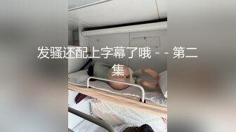 人妻黑丝偷情2