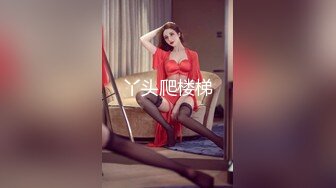 Al&mdash;刘亦菲黑丝制服