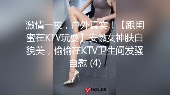 激情一夜，户外真实！【跟闺蜜在KTV玩耍】安徽女神肤白貌美，偷偷在KTV卫生间发骚自慰 (4)