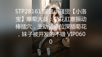 STP26307 性感小野猫全程露脸丝袜情趣装诱惑跟小哥激情啪啪，口交大鸡巴让小哥吃奶玩逼，主动上位抽插浪叫呻吟不止 VIP0600