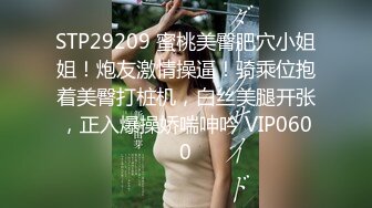 麻豆传媒映画x这个面试有点硬.MDHG-0013.艾熙.专吃学生的补教淫师