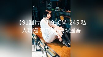 【91制片厂】91CM-245 私人玩物 第二集-高梨遥香