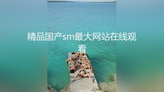 精品国产sm最大网站在线观看