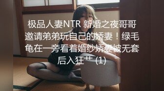 杏仁曲奇 黑兽 精灵女王