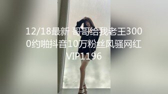 [无码破解] 痴女女神 樱木凛 露天暴露的淫荡空姐