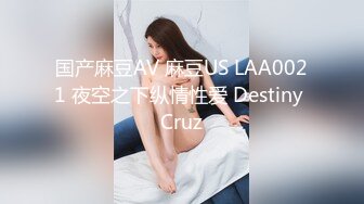 国产麻豆AV 麻豆US LAA0021 夜空之下纵情性爱 Destiny Cruz