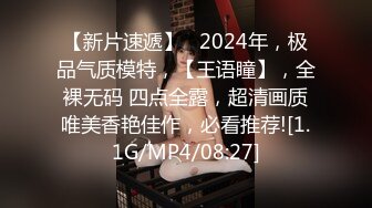 -微博红人东北姑娘巨乳小护士赵欣茜VIP收费视频28V整合1V