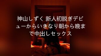 出张先のビジネスホテルでずっと憧れていた女上司とまさかまさかの相部屋宿泊 一乃あおい