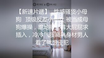 极品熟女美少妇内裤五颜六色的，网袜后入操逼