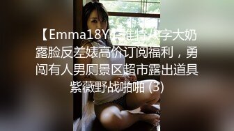 【Emma18Y】推特八字大奶露脸反差婊高价订阅福利，勇闯有人男厕景区超市露出道具紫薇野战啪啪 (3)