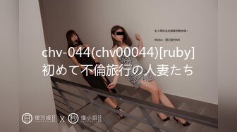 chv-044(chv00044)[ruby]初めて不倫旅行の人妻たち