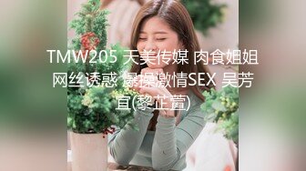 TMW205 天美传媒 肉食姐姐网丝诱惑 爆操激情SEX 吴芳宜(黎芷萱)