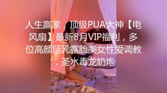 人生赢家，顶级PUA大神【电风扇】最新8月VIP福利，多位高颜巨乳露脸美女性爱调教，圣水毒龙奶炮