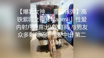 【爆乳女神❤️重磅核弹】高铁紫薇女神『Naomii』性爱内射户外露出VIP订阅 与男友众多刺激场所性爱中出 第二季 (11)